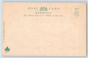 Bermuda Postcard Bermudian Lilies Flag Flower c1905 Antique Unposted