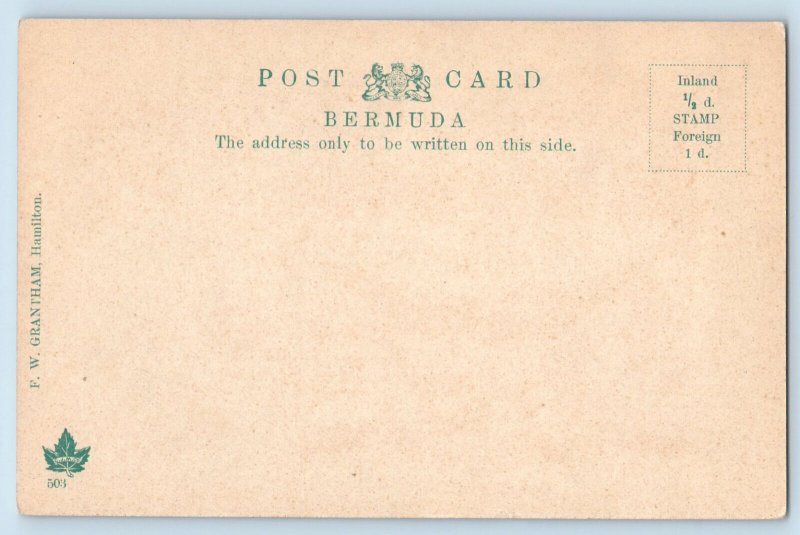 Bermuda Postcard Bermudian Lilies Flag Flower c1905 Antique Unposted