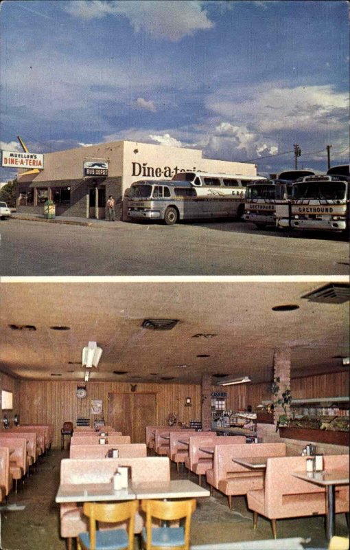 Van Horn Texas TX Muleller's Dineateria Greyhound Bus Buses Vintage Postcard