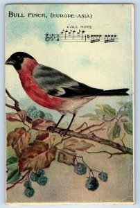 c1910's Blue Finch Bird Europe Asia Call Note Posted Antique Postcard
