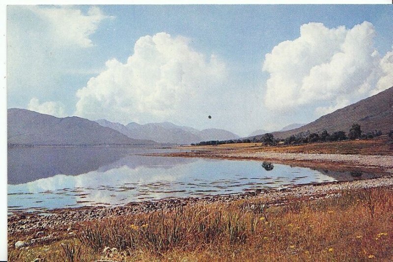 Scotland Postcard - Loch Eil - Inverness-shire   AB120