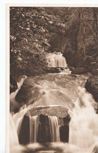 Devon Postcard - Falls on The Lyn - Lynmouth    ZZ3283