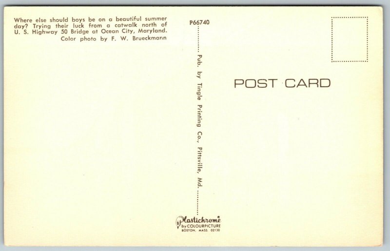 U. S. Highway 50 Bridge at Ocean City, MD - Postcard 