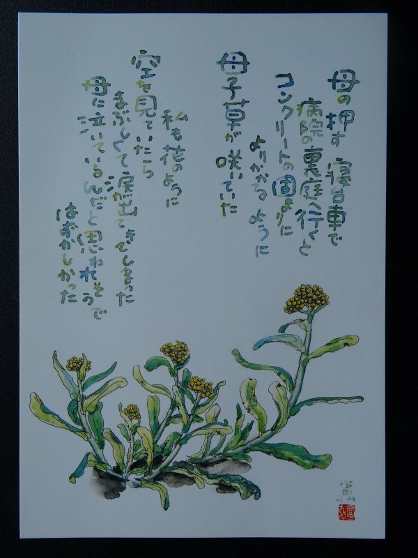 COTTONWEED Paintings Poems by Japanese Disabled Artist Tomihiro Hoshino PC