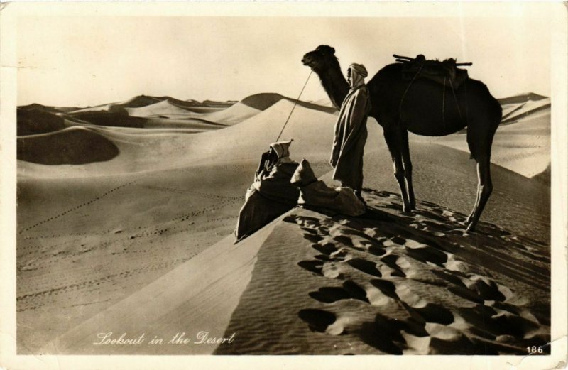 CPA Lehnert & Landrock 186 Lookout in the Desert EGYPT (917368)