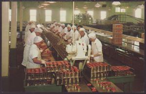 Seafood Cannery,Alaska Postcard