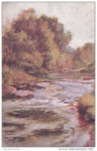 Autumn Scene of Stream, Canada, 00-10s