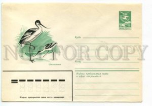 477484 USSR 1983 year Krasilnikov bird Avocet postal COVER
