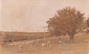 Farm Scene in Saint Joseph, Missouri