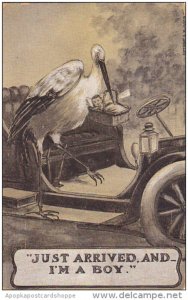 Stork Getting Into Car With Baby In Basket