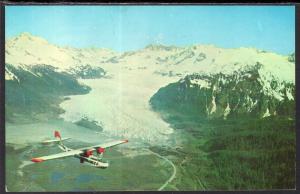 Bird's Eye View Mendenhall Glacier,AK