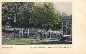 Early 1900's The Grove near Gray's Casino, North White Lake, N.Y. Postcard