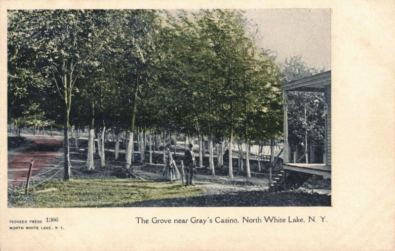 Early 1900's The Grove near Gray's Casino, North White Lake, N.Y. Postcard  