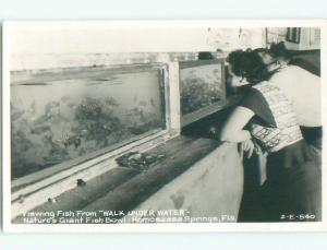 Pre-1950 rppc FISH TANKS Homosassa Springs - Near Ocala Florida FL i9932