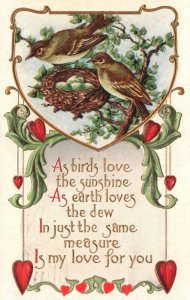 Vintage Postcard 1912 As Birds Love The Sunshine As Earth Loves The Dew