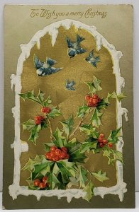 Christmas Snow Capped Golden Window Bluebirds Holly Embossed 1908 Postcard G13