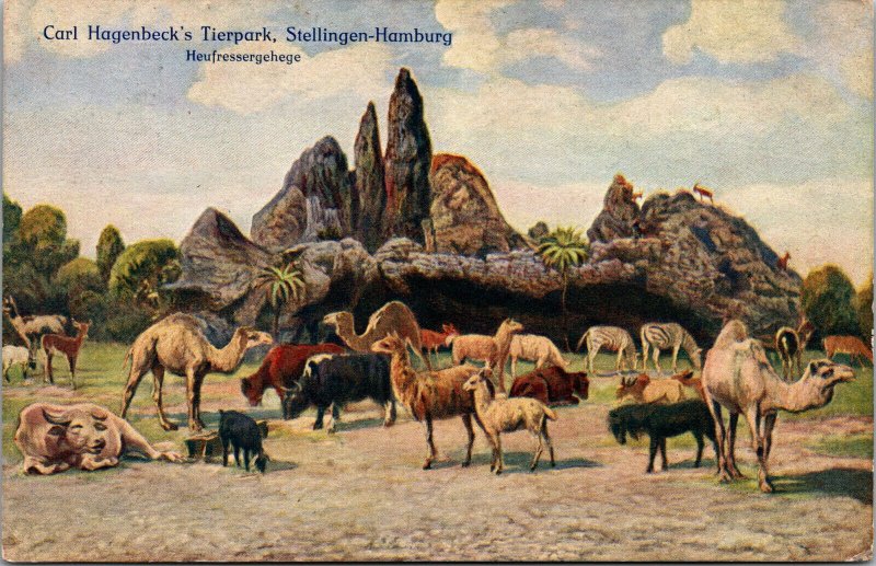 Vtg Carl Hagenbeck Tierpark Heufressergehege Stellingen Hamburg Germany Postcard