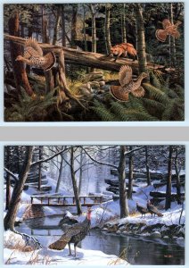 2 Postcards KEN ZYLLA ~ Artist Signed TURKEYS & GROUSE Game Birds  4x6