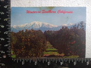 Postcard - Winter in Southern California