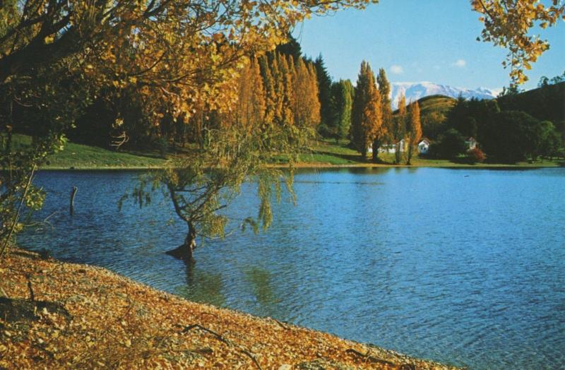 Autumn Walter Peak Station Queenstown NZ New Zealand Unused Vintage Postcard D22