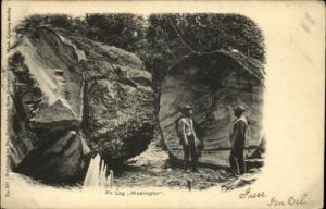Fir Log Washington c1910 Postcard