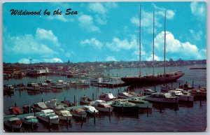 Wildwood by the sea NJ 1950s postcard Wildwood Yacht Basin boats dock