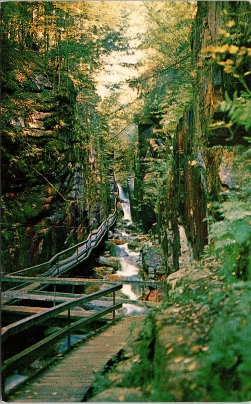 Tourist Walk Flume Gorge Franconia Notch New Hampshire NH Chrome Postcard VTG 