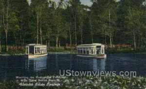 Glass Bottom Boats - Silver Springs, Florida FL