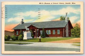Bemidji Minnesota~Natural History Museum St View~Deer Statue~Linen 1955 Postcard