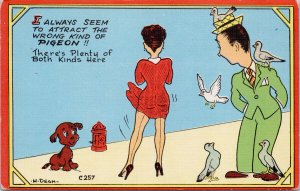 Comic Man Sexy Woman Red Dress Pigeons Birds Dog H. Dean Artist Postcard G93