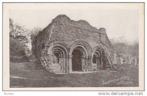 RP; Haughmond Abbey, Shropshire, England, United Kingdom, 10-20s