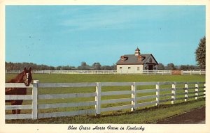 Bluegrass horse farm in Kentucky Lexington Kentucky  