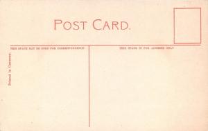 Reading Pennsylvania~Covered Bridge @ Berkley~Stone Building~c1910 Postcard