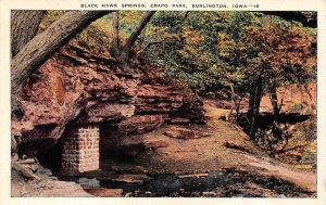 BURLINGTON, IA Iowa    BLACK HAWK SPIRNGS~Crapo Park    1946 Linen Postcard