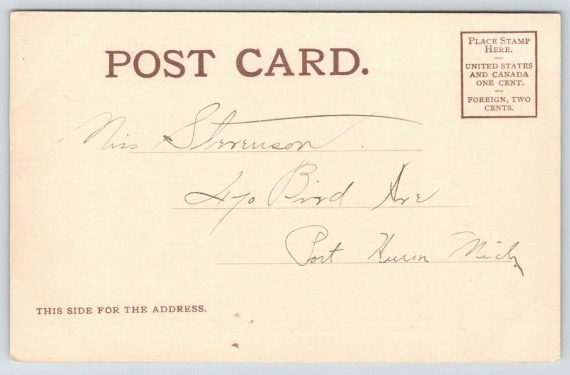 Duluth Minnesota~Coaching Party on Boulevard Drive Waves US Flags~1905 VO Hammon