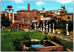 Roma The Roman Forum Rome Italy Museum Rectangular Forum Plaza Postcard