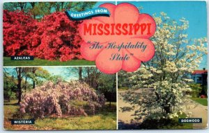 M-67808 The Hospitality State Greetings from Mississippi