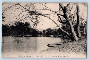 Japan Postcard Group of Ducks in Buichi no Pond c1910 Antique Unposted