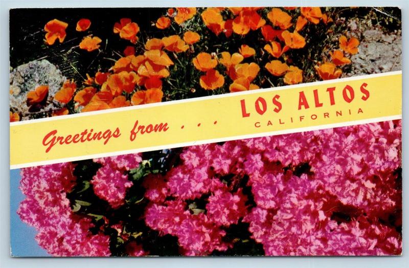 Postcard CA Banner Dual View Greetings From Los Altos Vintage O09