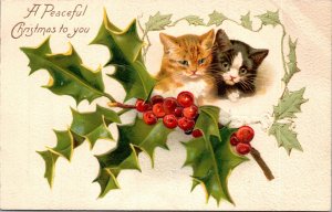Postcard A Peaceful Christmas to you  Kittens with Holly Embossed