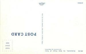 TX, Texas, State Flower, Bluebonnetts, Dexter No. 21789