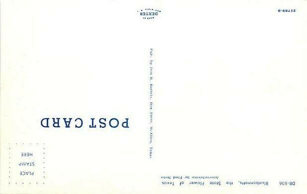 TX, Texas, State Flower, Bluebonnetts, Dexter No. 21789