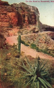 Vintage Postcard 1909 On The Desert Drive Road Roosevelt Arizona AZ