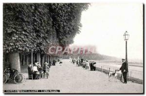 Saint Germain en Laye Old Postcard The Royal & # 39alle