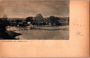 Flood Scene, Mt. Morris NY c1903 Undivided Back Vintage Postcard P47