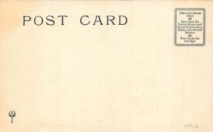 Roosevelt Bears At Harvard #13 Advertising Postcard