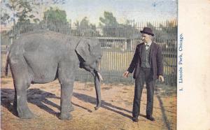 Chicago Illinois c1910 Postcard Lincoln Park ZOO Man With Baby Elephant