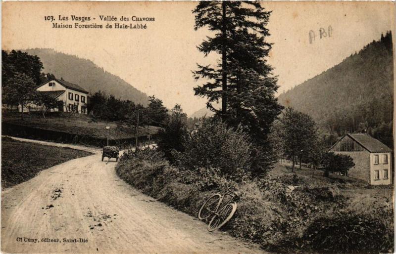 CPA Valléee des CHAVONS Maison Forestier de HAIE-LABBE (401398)