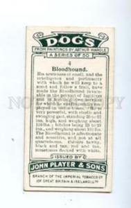 166923 BLOODHOUND by WARDLE Player CIGARETTE card ADVERTISING