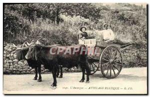 Old Postcard Folklore rustic hitch